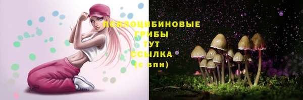 тгк Сатка