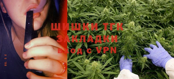 гашик Богданович