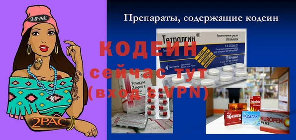 тгк Сатка