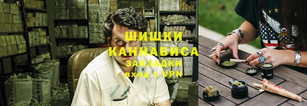 тгк Сатка