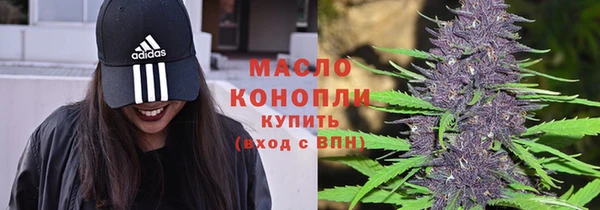 тгк Сатка