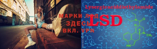 тгк Сатка