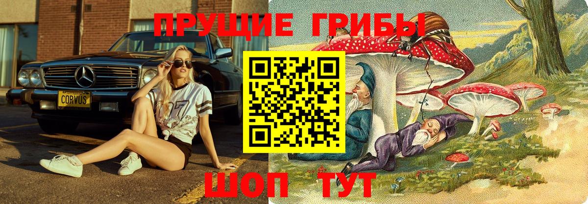 Галлюциногенные грибы мицелий Темрюк