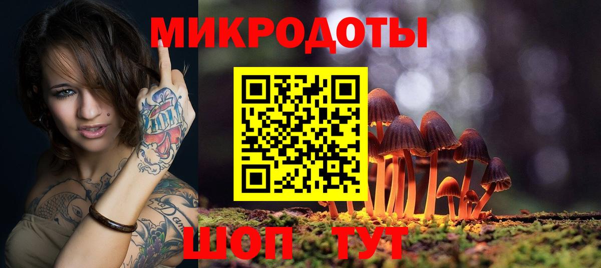 Темрюк  Псилоцибиновые грибы Psilocybe  Галлюциногенные грибы прущие грибы  Вход с VPN 