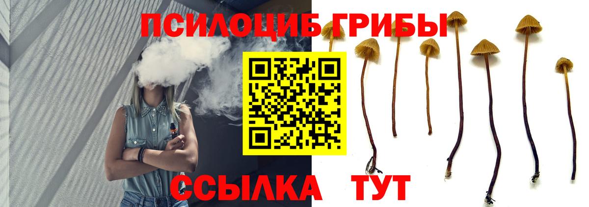 Галлюциногенные грибы Psilocybine cubensis  Темрюк 